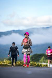 BIB: 
                            <button type="button" onclick="openModal(26542822)" class="btn btn-primary btn-sm float-right btn-popup" data-toggle="modal" data-target=".modal-high-quality">
                        <i class="fas fa-shopping-cart"></i> Add to Cart
                    </button>
                                            <button type="button" onclick="isThisMe(26542822, true)" class="btn btn-success btn-sm float-right btn-popup btn-isme hidden" data-toggle="tooltip" data-placement="bottom" title="นี่คือรูปของคุณใช่ไหม คลิกที่นี่เพื่อเอาเข้าอัลบั้ม">
                        <i class="fas fa-plus"></i> Add to album
                    </button>
                    <button type="button" onclick="isThisMe(26542822, false)" class="btn btn-warning btn-sm float-right btn-popup btn-isnotme hidden">
                        <i class="fas fa-ban"></i> Remove from album
                    </button>